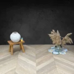 Miniature principale