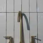 Miniature principale