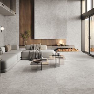 BELGRADE GRIS Natural 60x120