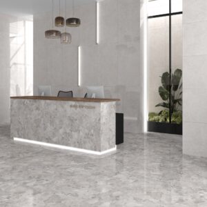 ROCCARA GRIS Poli 60x120
